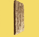 GIF Vertical Flip